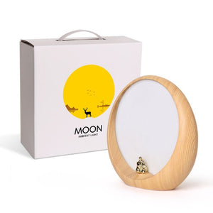 Creative Hidden Moon Light Bedroom Scene Atmosphere - Zambeel