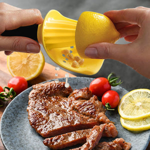 Creative Kitchen Gadget Manual Juicer - Zambeel