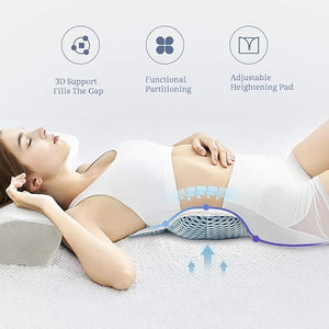 Cushion Back Support Pillow - Zambeel