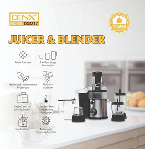 Denx - 4 - in - 1 Juicer & Blender © - Zambeel