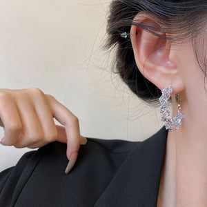 Diamond Super Shiny Crystal Earrings Fashion Women - Zambeel