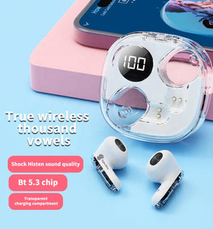 Digital 5.3 Apro 138 Transparent Earbuds - Zambeel