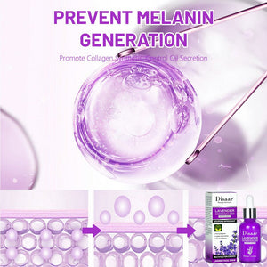 Disaar - Lavender Grapeseed Serum (Original) - Zambeel