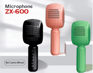 Disco - HiFi Speaker Wireless Microphone - Zambeel