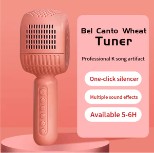 Disco - HiFi Speaker Wireless Microphone - Zambeel
