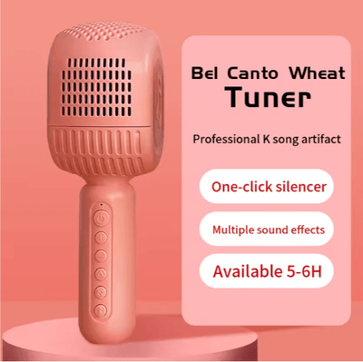 Disco - HiFi Speaker Wireless Microphone - Zambeel