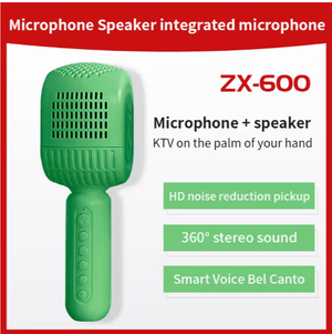 Disco - HiFi Speaker Wireless Microphone - Zambeel