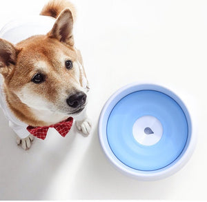 Dog Automatic Drinking Bowl - Zambeel