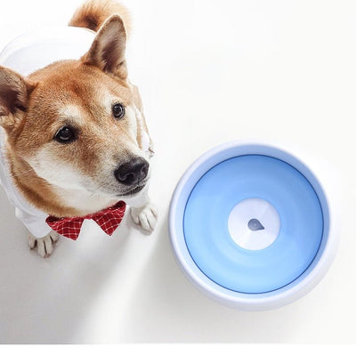 Dog Automatic Drinking Bowl - Zambeel