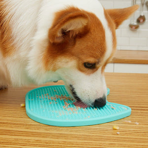 Dog Double - Sided Licking Pad Slow Food Bowl Dog Lick Mat - Zambeel