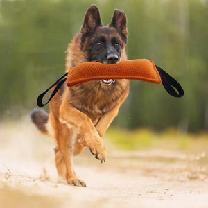 Dog Drag Toy Dog Jute Bite Pillow Durable Training Equipment - Zambeel