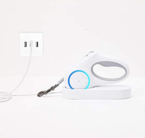 Dog Leash Retraction - Zambeel