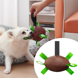 Dog Rugby Football With Strapes, Interactive Dog Toys For Boredom, Dog Water Toy, Dog Balls For Small And Medium Breeds - Indoor & Outdoor Play - Zambeel