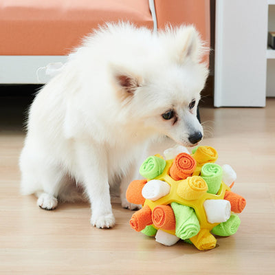 Dog Sniffing Ball Puzzle Toys Inscrease IQ Slow Dispensing Feeder Folderble Dog Now Sniff Toy Pet Traning Game Intelligence Toy - Zambeel