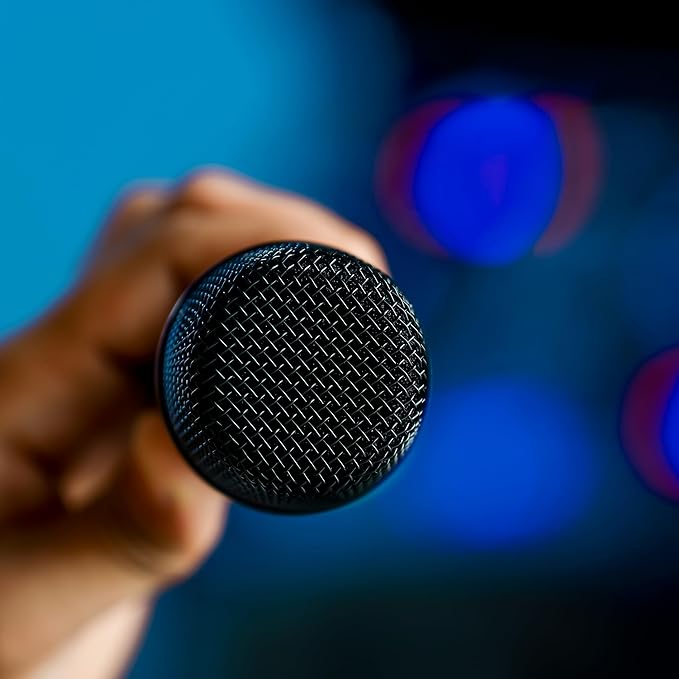 Dynamic Microphone - Zambeel