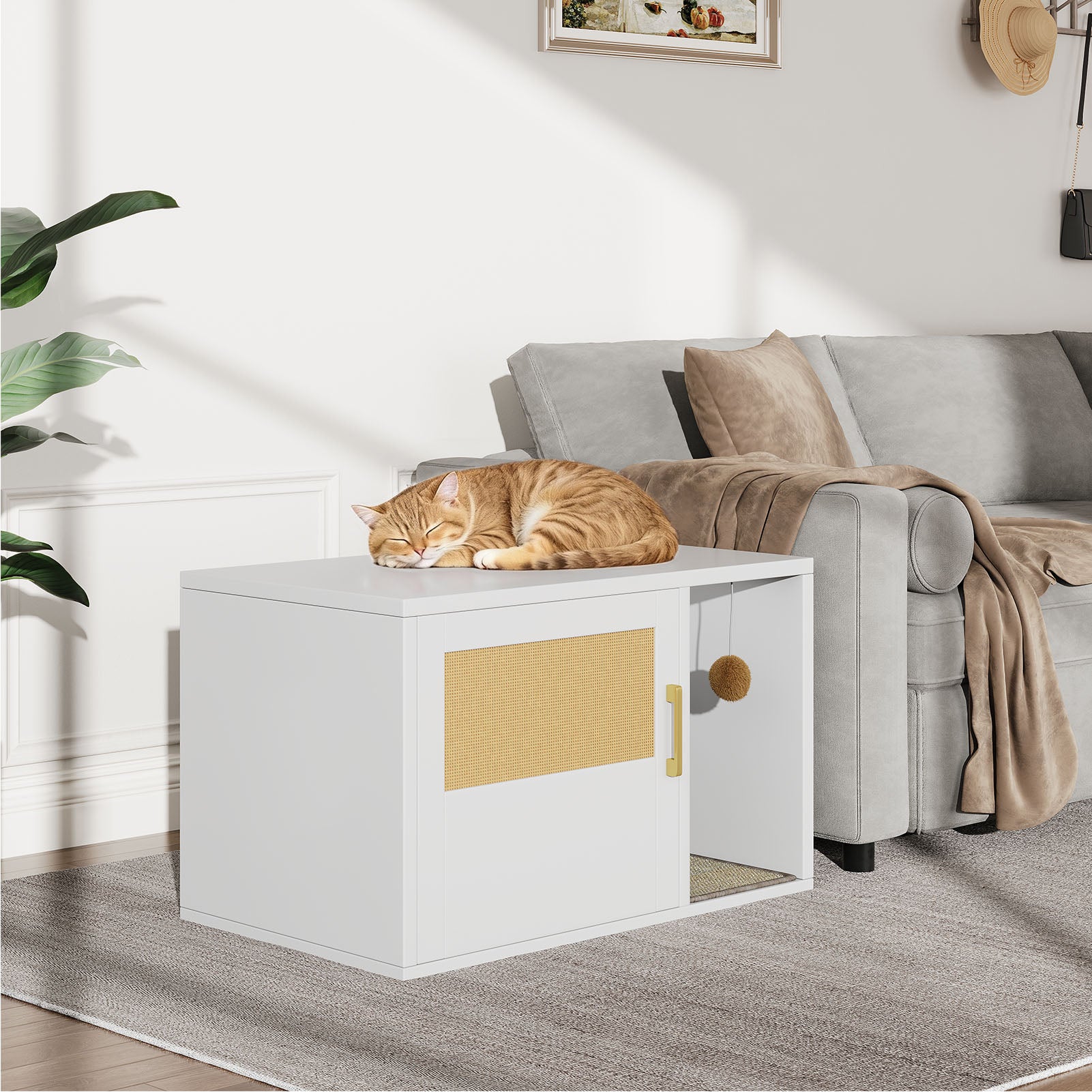 product_img