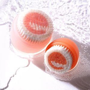 EcoTools - Big Fan Brush - Zambeel