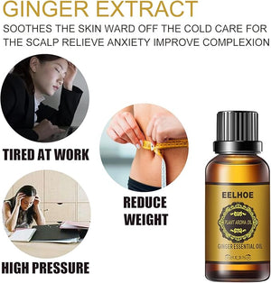 EELHOE - Ginger Essential Oil - Zambeel