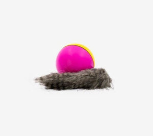 Electric Beaver Ball Water Cat Bath Play Water Toys - Zambeel