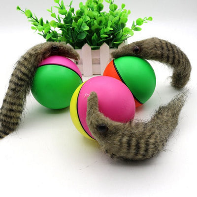 Electric Beaver Ball Water Cat Bath Play Water Toys - Zambeel