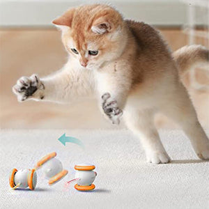Electric Intelligent Teasing Cat Charging Toys - Zambeel