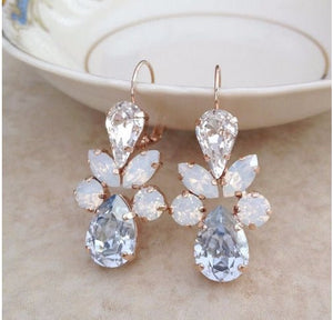 Elegant Versatile Earrings For Women - Zambeel