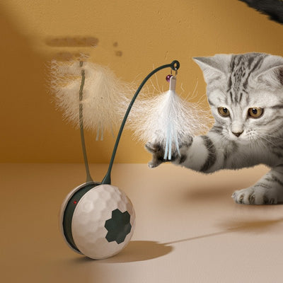 Enjoying Electric Intelligent Bite Resistant Cat Toys Pet Products - Zambeel