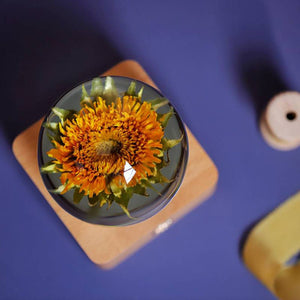 Everlasting Flower Sunflower Night Light Decoration Christmas Gift - Zambeel