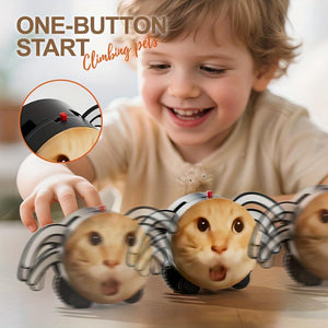 product_img
