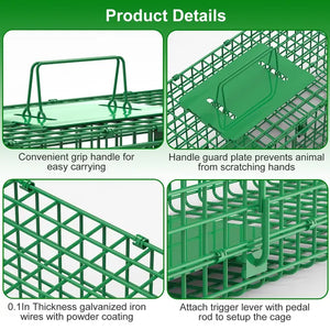 product_img