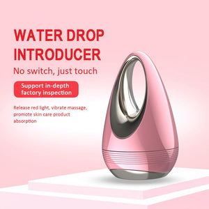 Facial Beauty Instrument - Zambeel