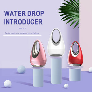 Facial Beauty Instrument - Zambeel