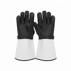 Falconry Gloves - Zambeel