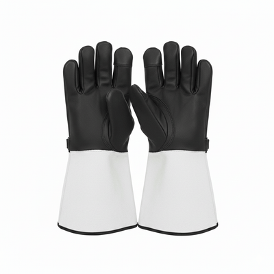 Falconry Gloves - Zambeel
