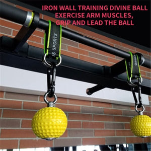 Fitness Equipment Training Ball - Zambeel
