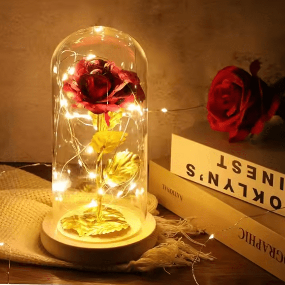 Flower Dome with LED Light - Zambeel