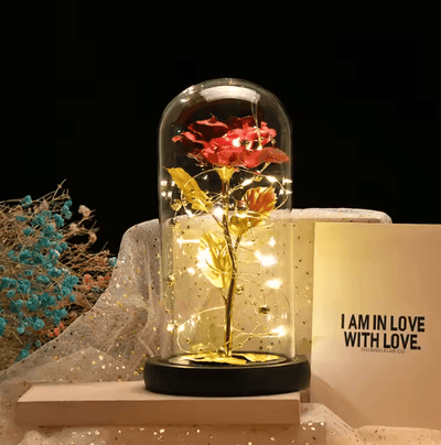 Flower Dome with LED Light - Zambeel