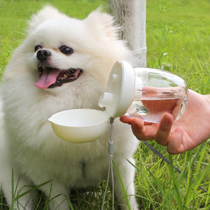 Foldable And Portable Pet Cat And Dog Outdoor Drinking Glass Pet Products - Zambeel