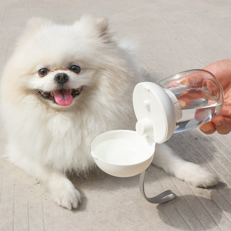 Foldable And Portable Pet Cat And Dog Outdoor Drinking Glass Pet Products - Zambeel