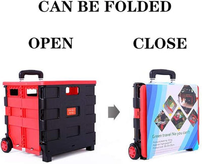 Folding Storage Box - Zambeel