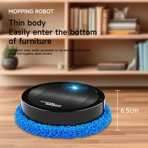 Fully Automatic Intelligent Mute Sweeping Robot - Zambeel