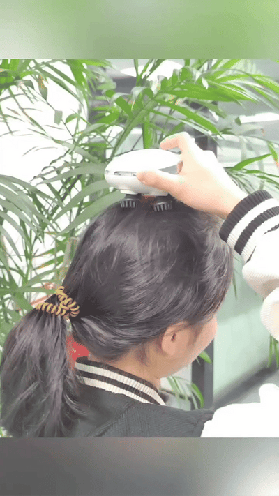 Functional Head Massager ©
