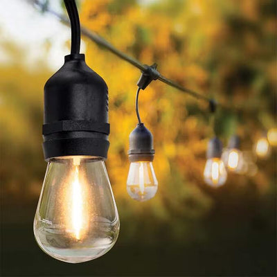 Garden Light - Zambeel