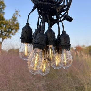 Garden Light - Zambeel