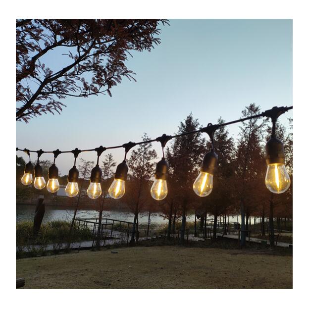 Garden Light - Zambeel