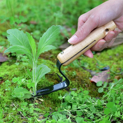 Garden Tool Weeding And Seedling Rooting Device - Zambeel