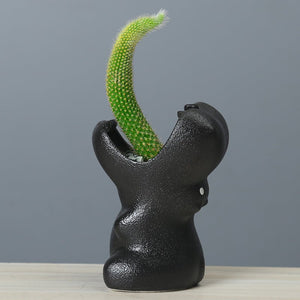 Gardening Creative Succulent Flower Pot - Zambeel