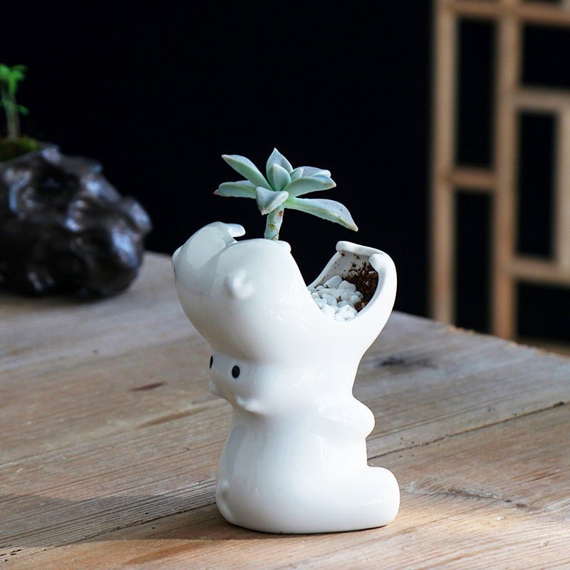 Gardening Creative Succulent Flower Pot - Zambeel