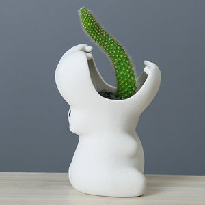Gardening Creative Succulent Flower Pot - Zambeel