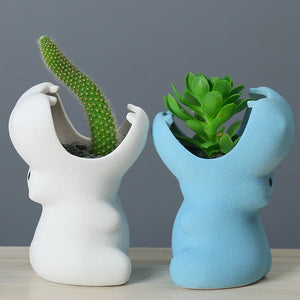 Gardening Creative Succulent Flower Pot - Zambeel